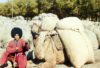 The Homeland of Wandering Turkmen: Yurt